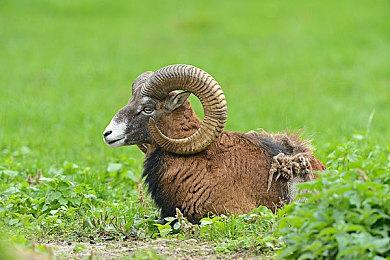 日本一或将推出新作《真空饲育箱2》 6月30日发售